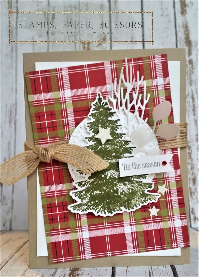 In the Woods - Tis the Season by Tammy C. Wilson