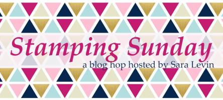 18010359_1352051041553303_1855022438669557612_n