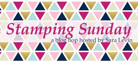 18010359_1352051041553303_1855022438669557612_n