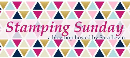 18010359_1352051041553303_1855022438669557612_n