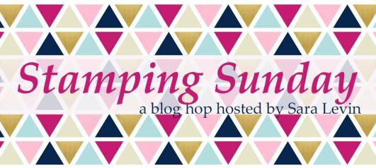 18010359_1352051041553303_1855022438669557612_n