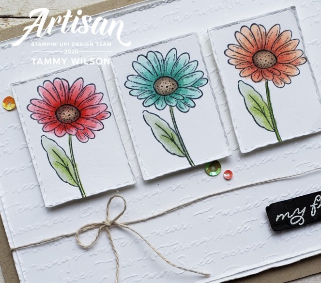 ornate-garden-scripty-by-tammy-c.-wilson-