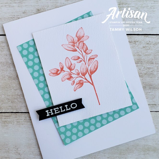 Forever Fern by Tammy C. Wilson (watermark)